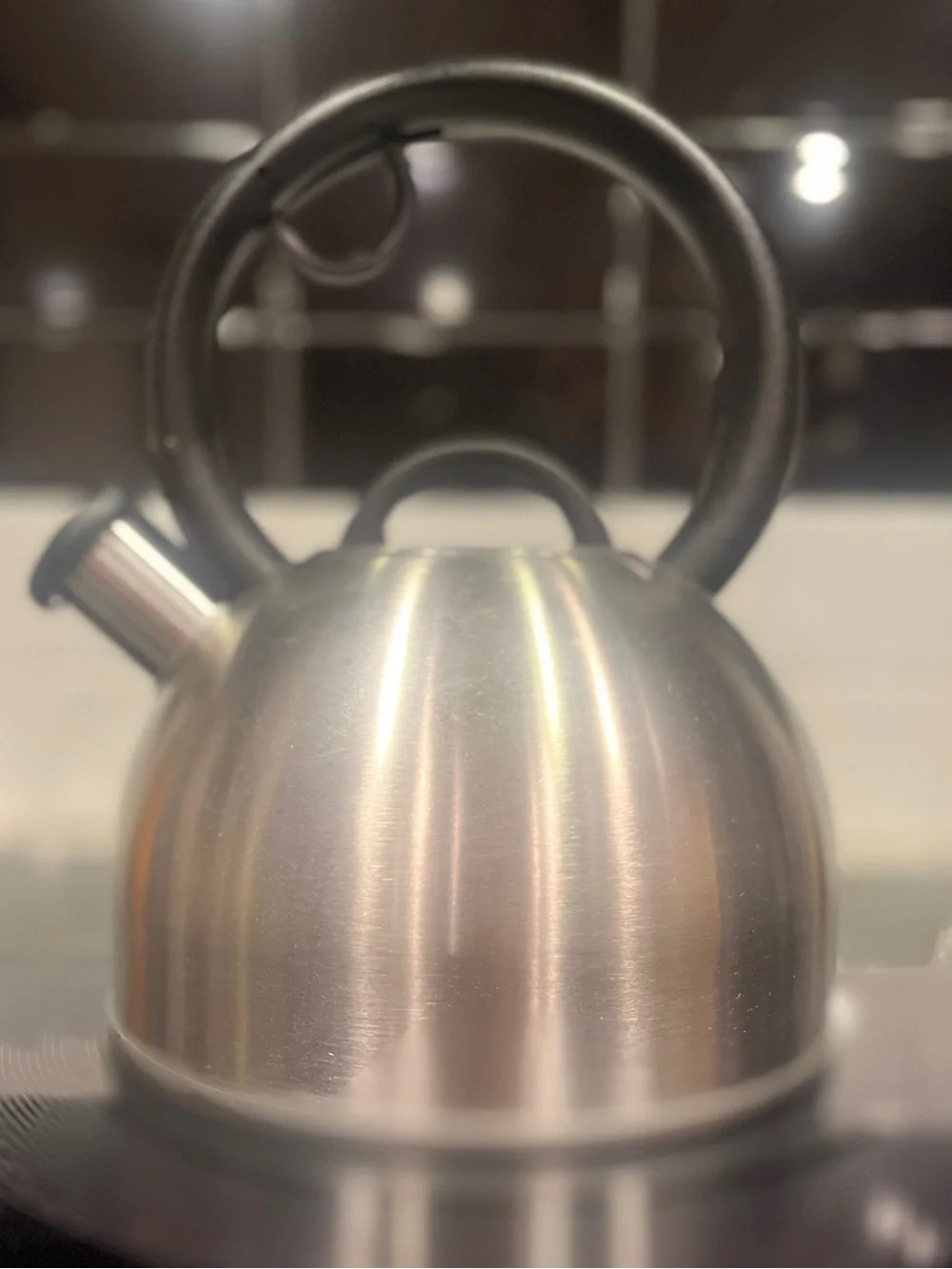 Copco Brushed Stainless Steel Whistling Kettle with Black Handle NWT